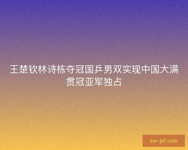 王楚钦林诗栋夺冠国乒男双实现中国大满贯冠亚军独占
